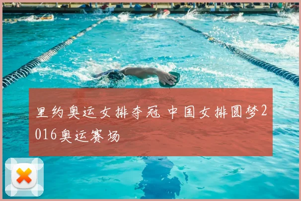 里约奥运女排夺冠 中国女排圆梦2016奥运赛场